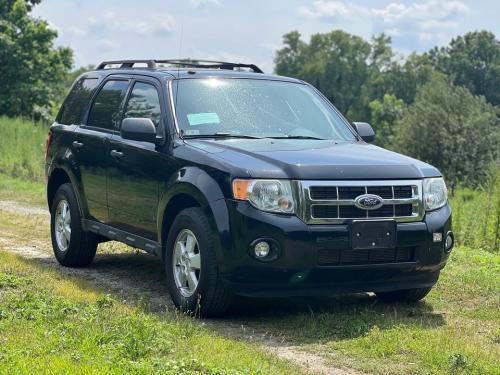 2010 FORD ESCAPE XLT